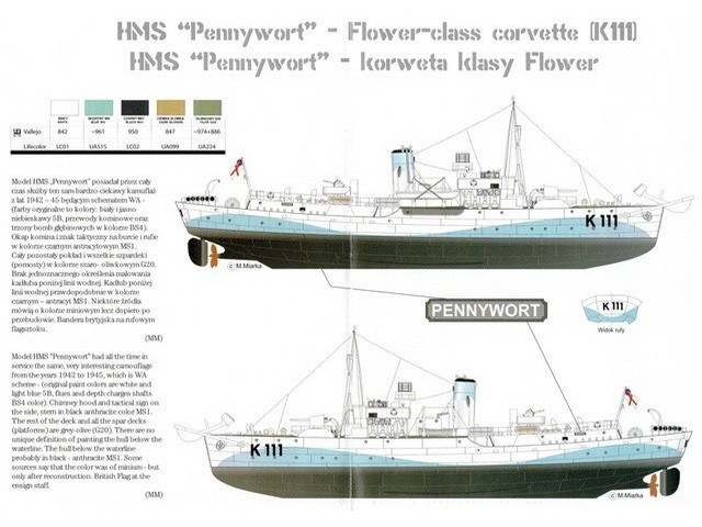 hms pennywort