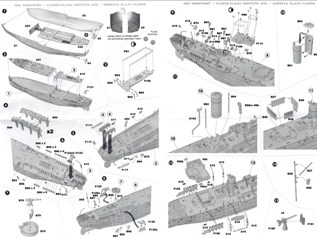 hms pennywort