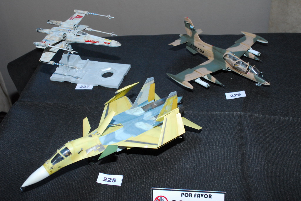 ipms mar del plata