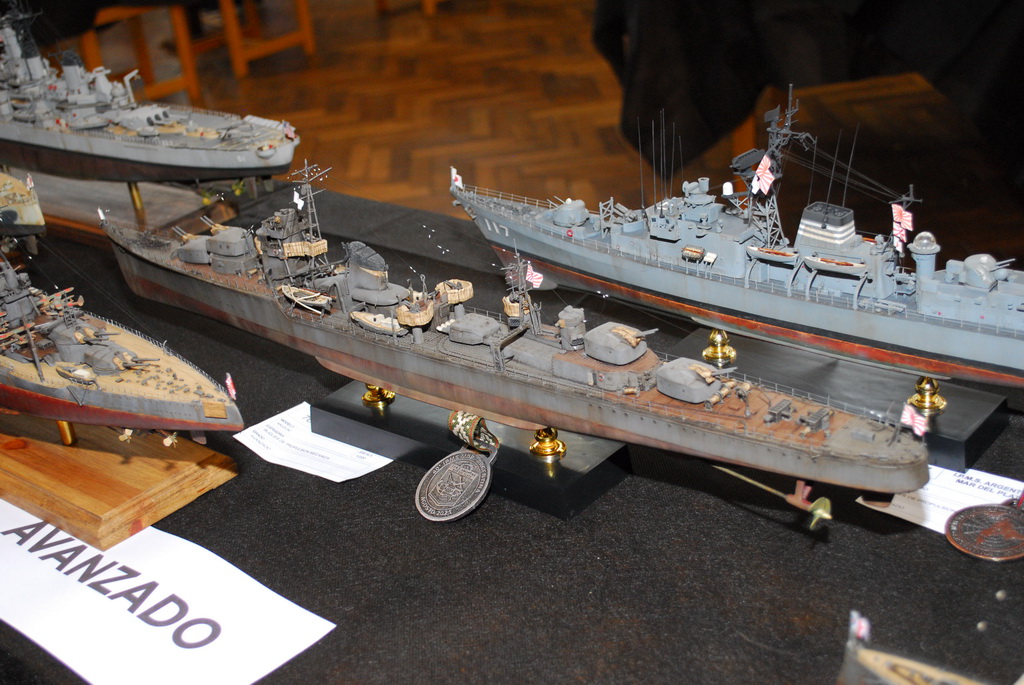ipms mar del plata