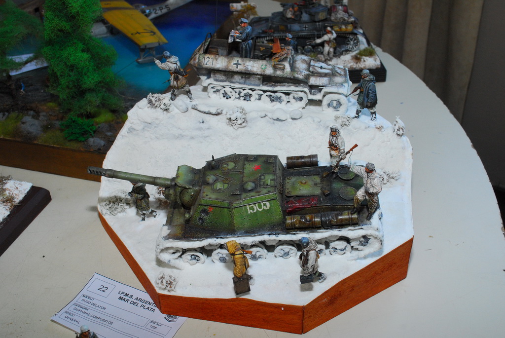 ipms mar del plata