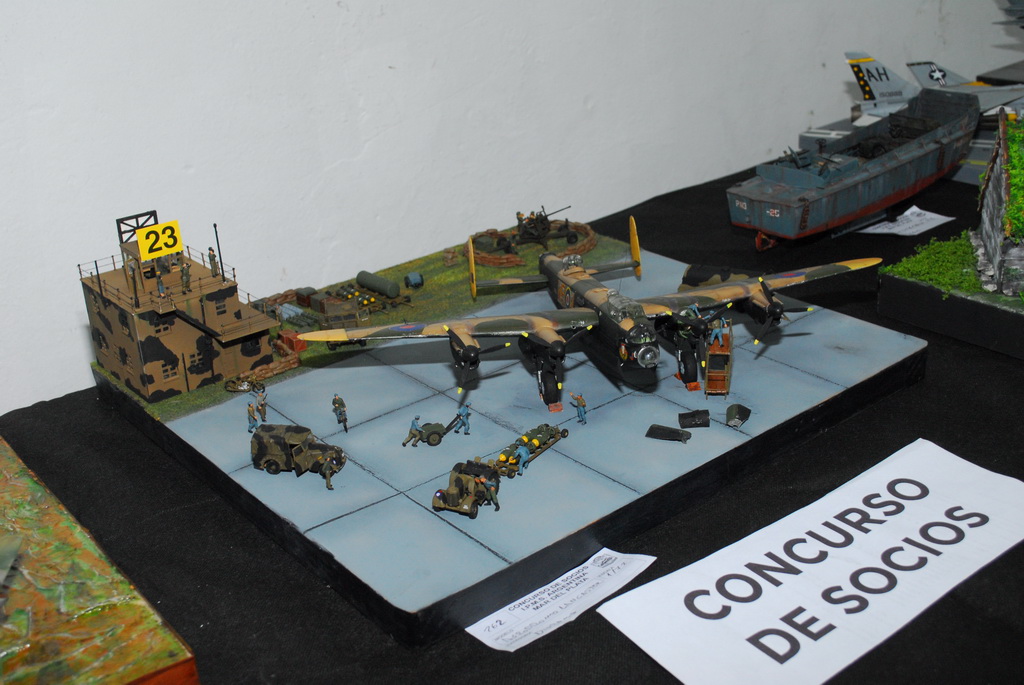 ipms mar del plata