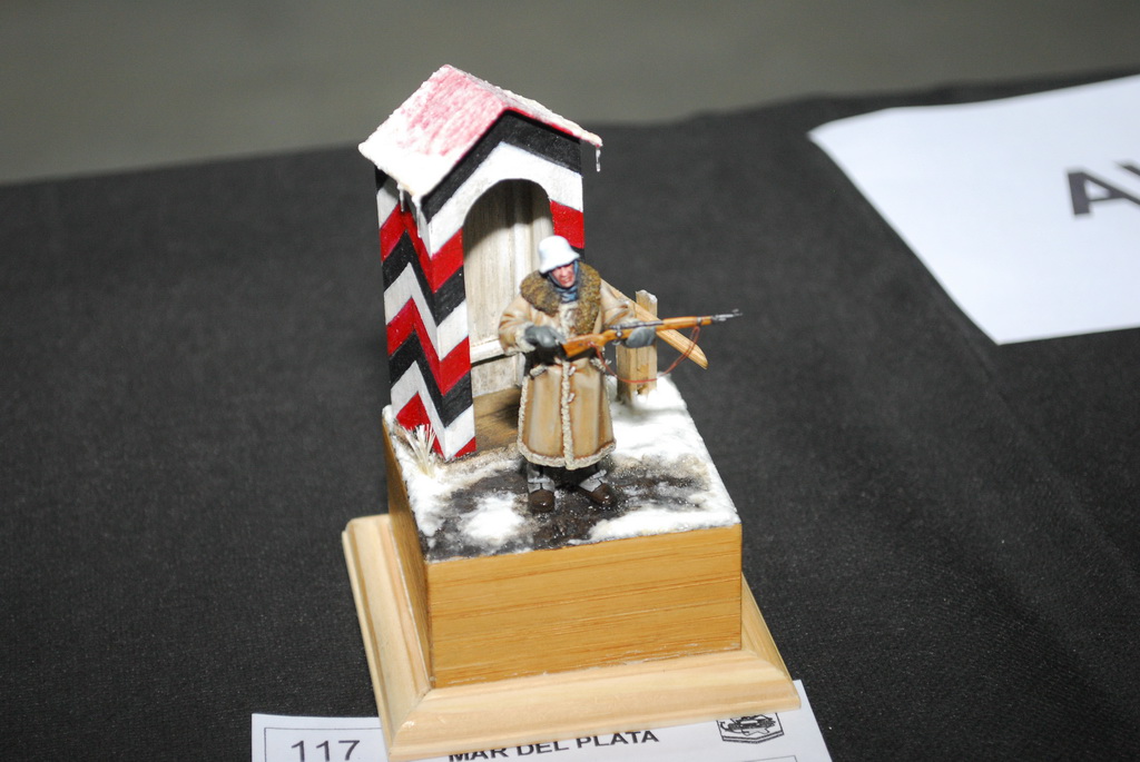 ipms mar del plata