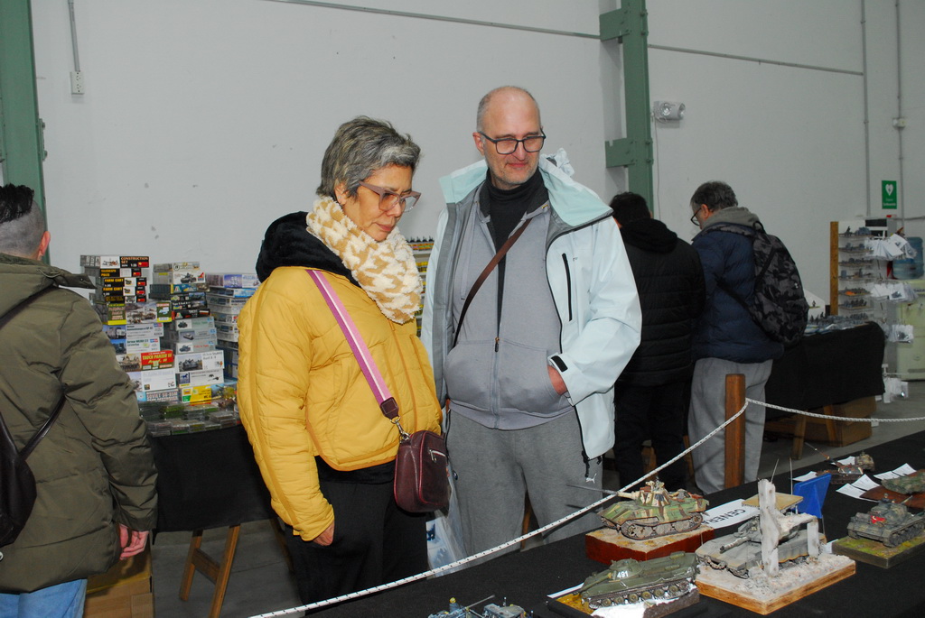ipms mar del plata