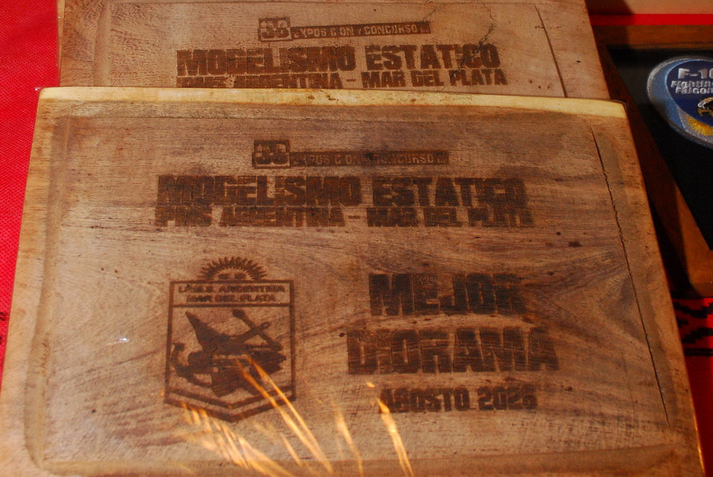 ipms mar del plata