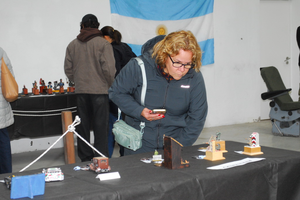 ipms mar del plata