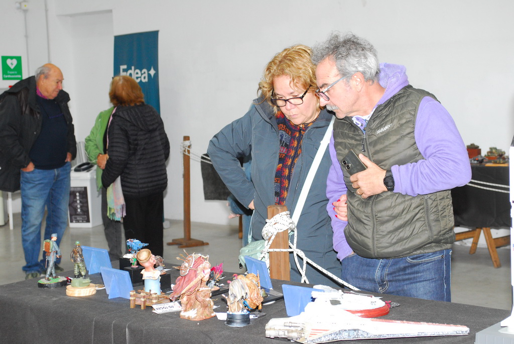 ipms mar del plata