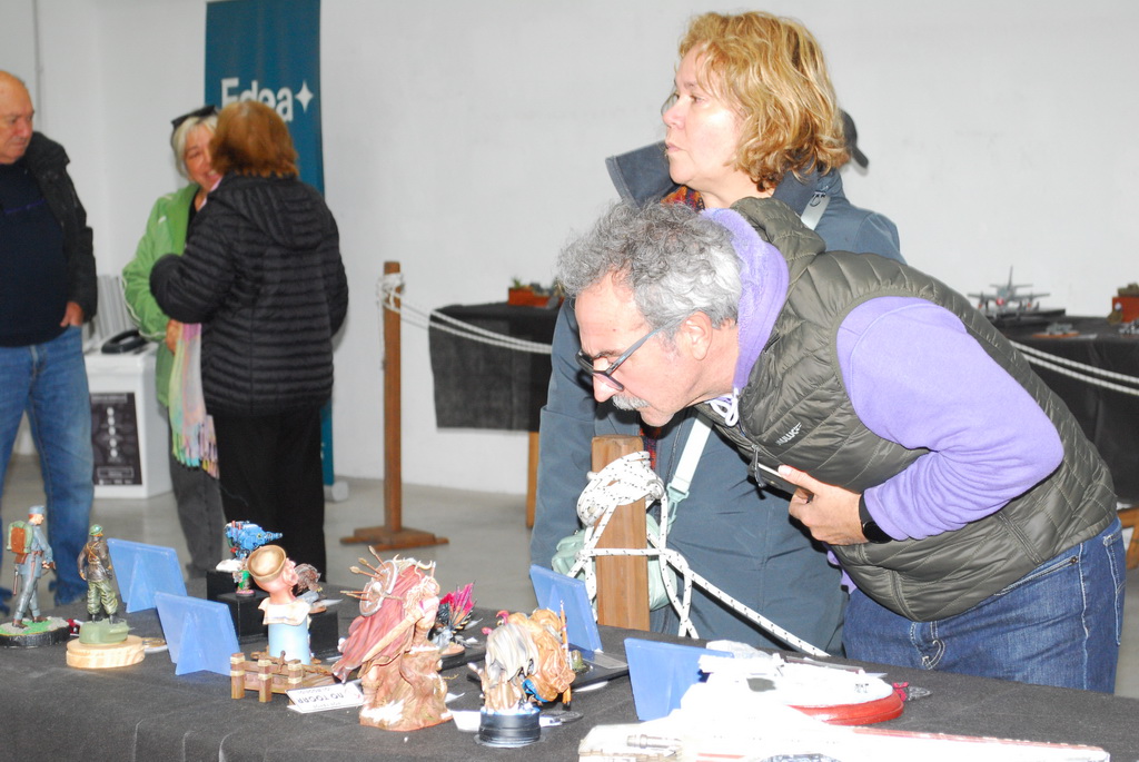 ipms mar del plata