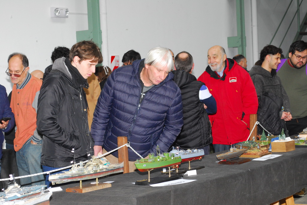 ipms mar del plata