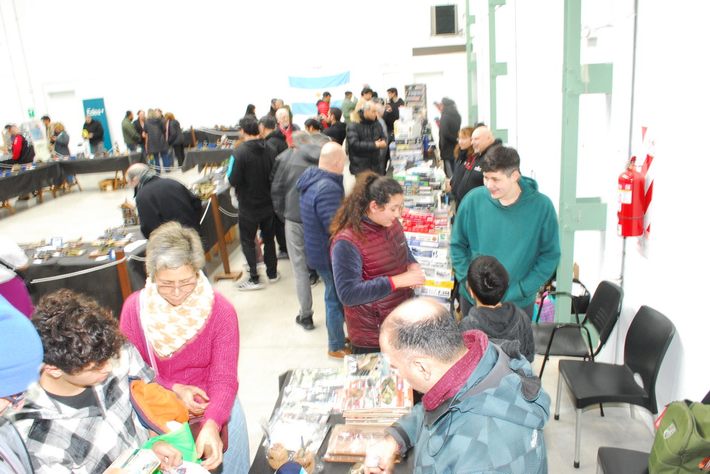ipms mar del plata
